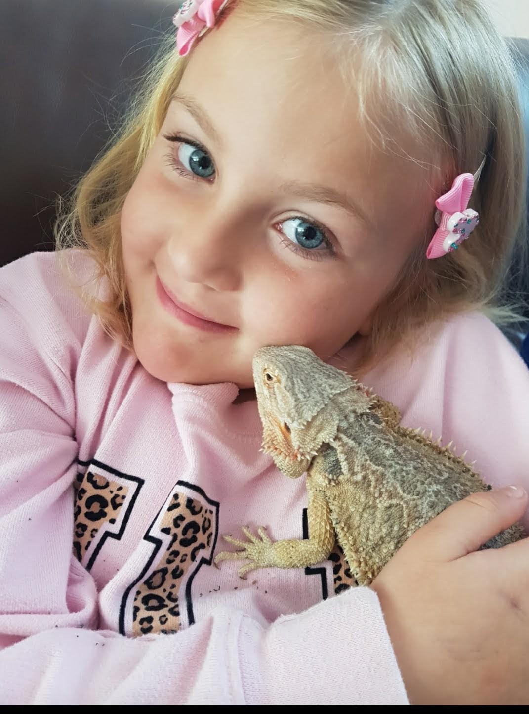 Why Bearded Dragons Make Good Pets